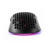 Arozzi FAVO Black